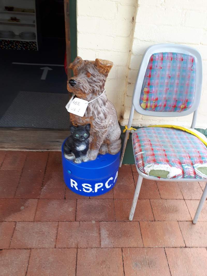 Check out York RSPCA WA Auxiliary in York