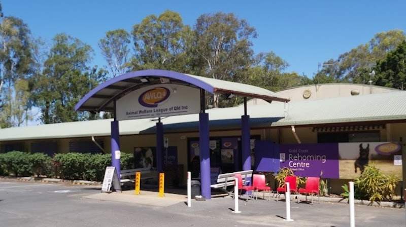 Check out AWLQ Currumbin in Currumbin Waters