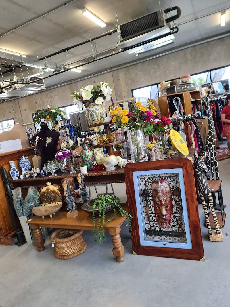 Check out Lifeline Shop Springfield in Augustine Heights