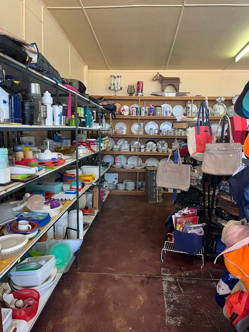 Check out Bower Birds Secondhand Shop Hyden in Hyden