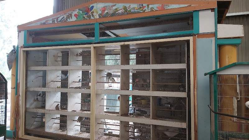 Check out Jindera Rural Supplies in Jindera