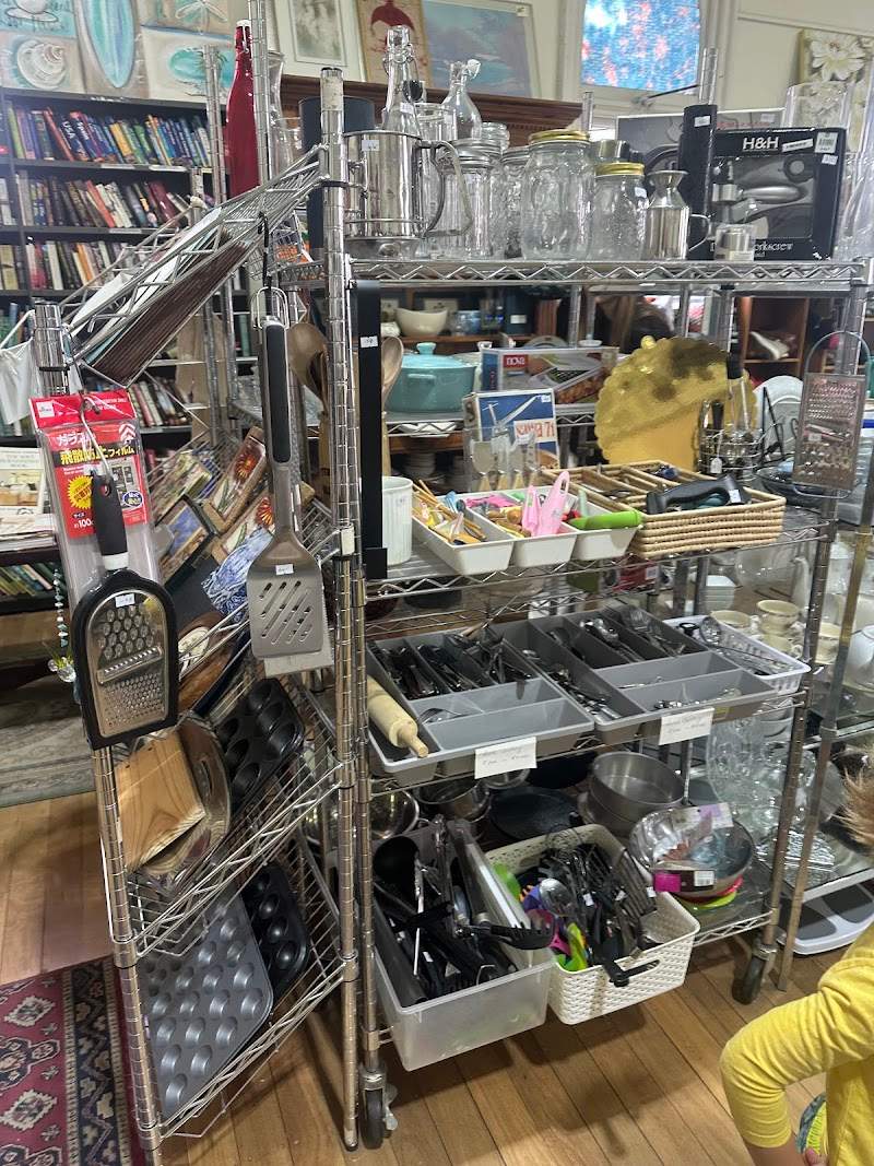 Check out Goodies "Op" Shop in Norwood