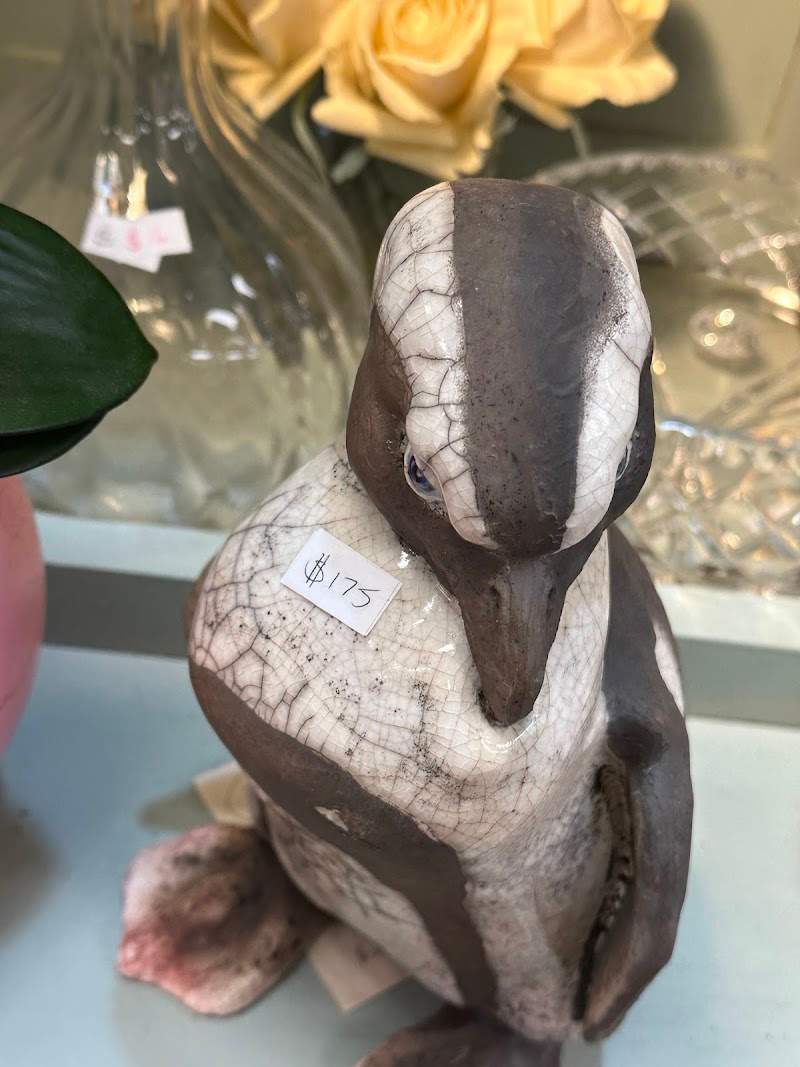 Check out Lifeline Shop Neutral Bay in Neutral Bay