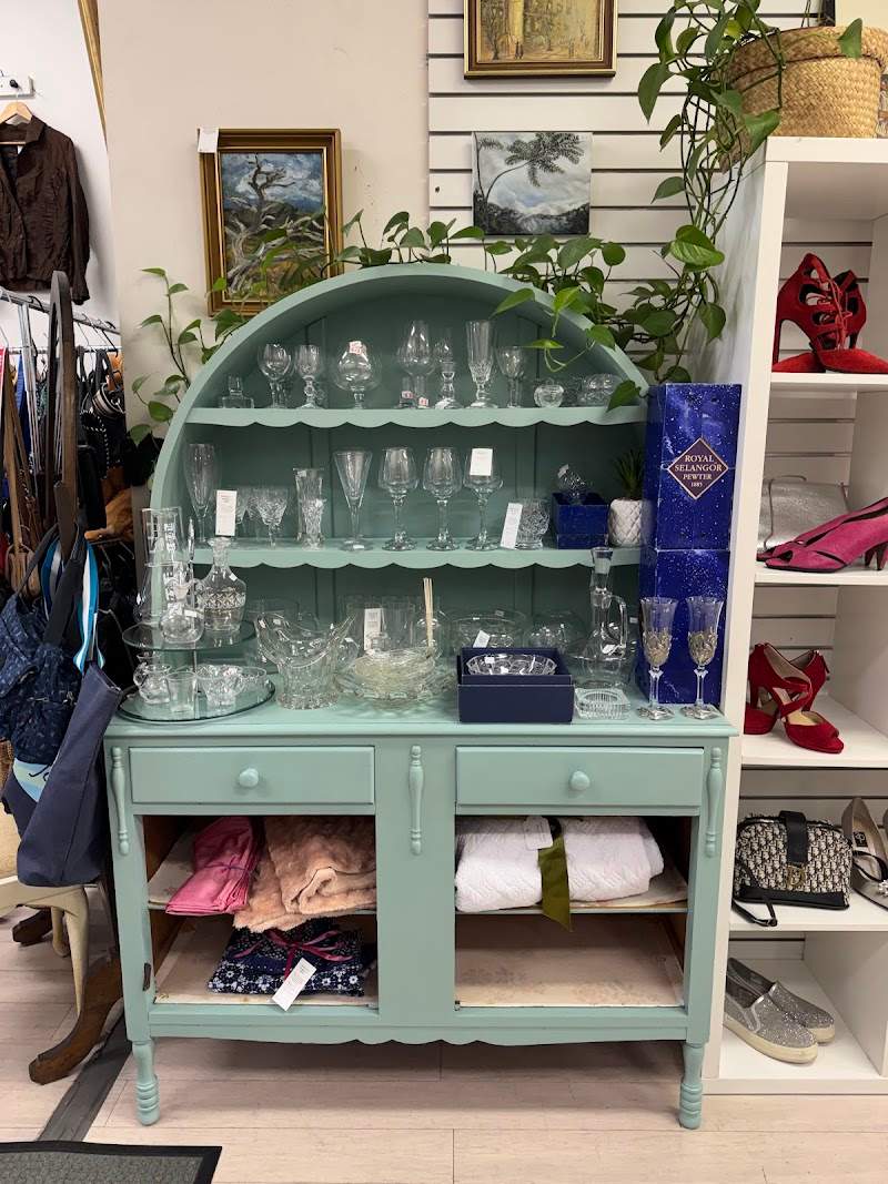 Check out Lifeline Shop Neutral Bay in Neutral Bay
