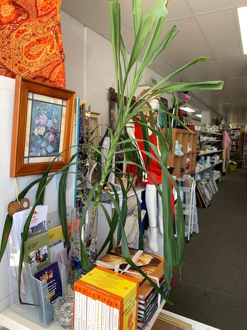 Check out Beach End Op Shop Mornington
