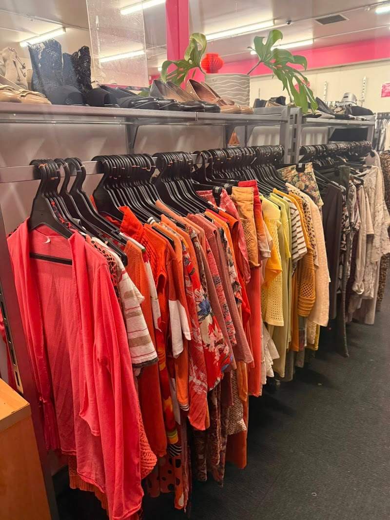 Check out Harbour Hospice Shop – Link Drive, Wairau Valley in Northcote