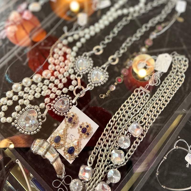 Check out Harbour Hospice Shop – Link Drive, Wairau Valley in Northcote