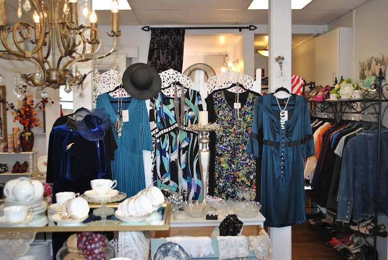 Check out Hospice Shop Waikato – Va Va Voom Boutique in Hamilton East