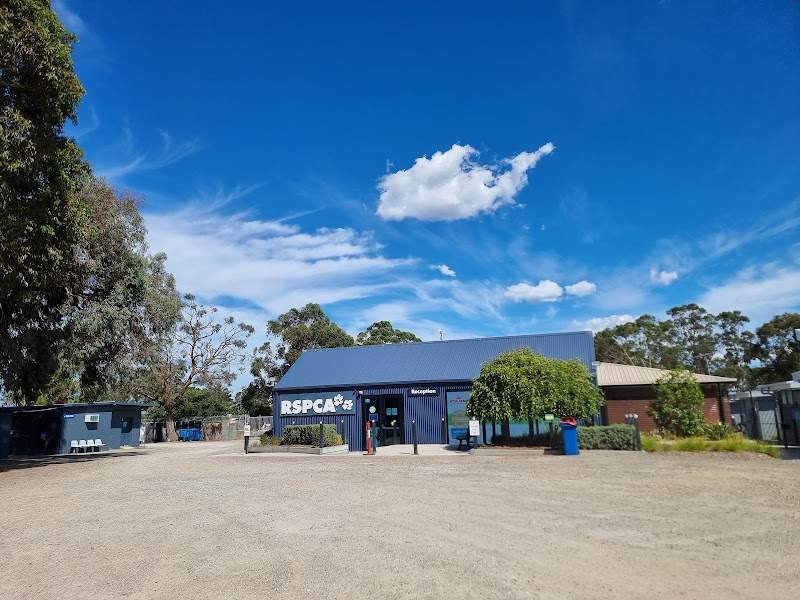 Check out RSPCA in Moe
