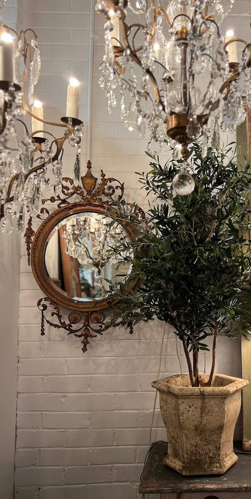 Check out Shades of Pale in Leichhardt