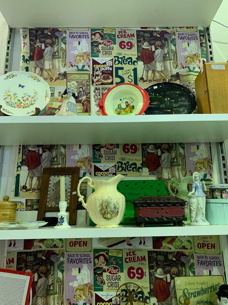 Check out Salvos Stores O'Connor in O'CONNOR