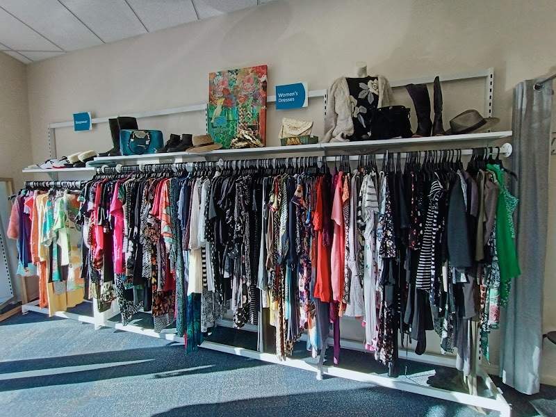 Check out SPCA Op Shop Long Bay in Long Bay