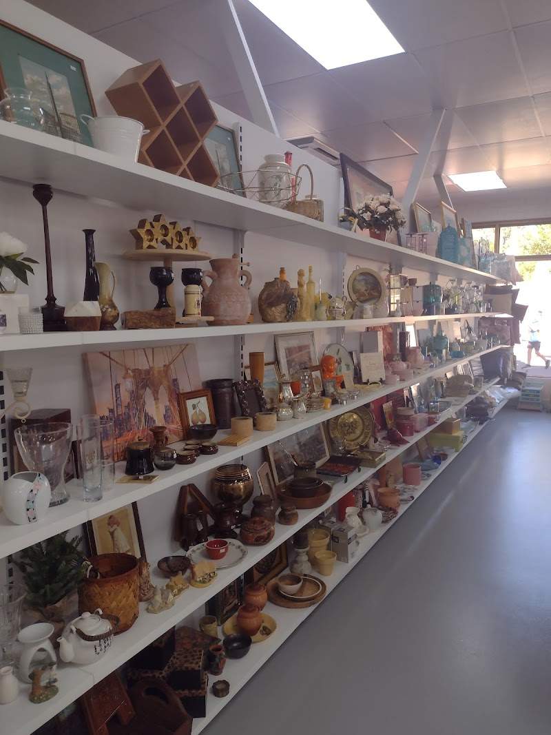 Check out Salvos Stores Frewville in FREWVILLE