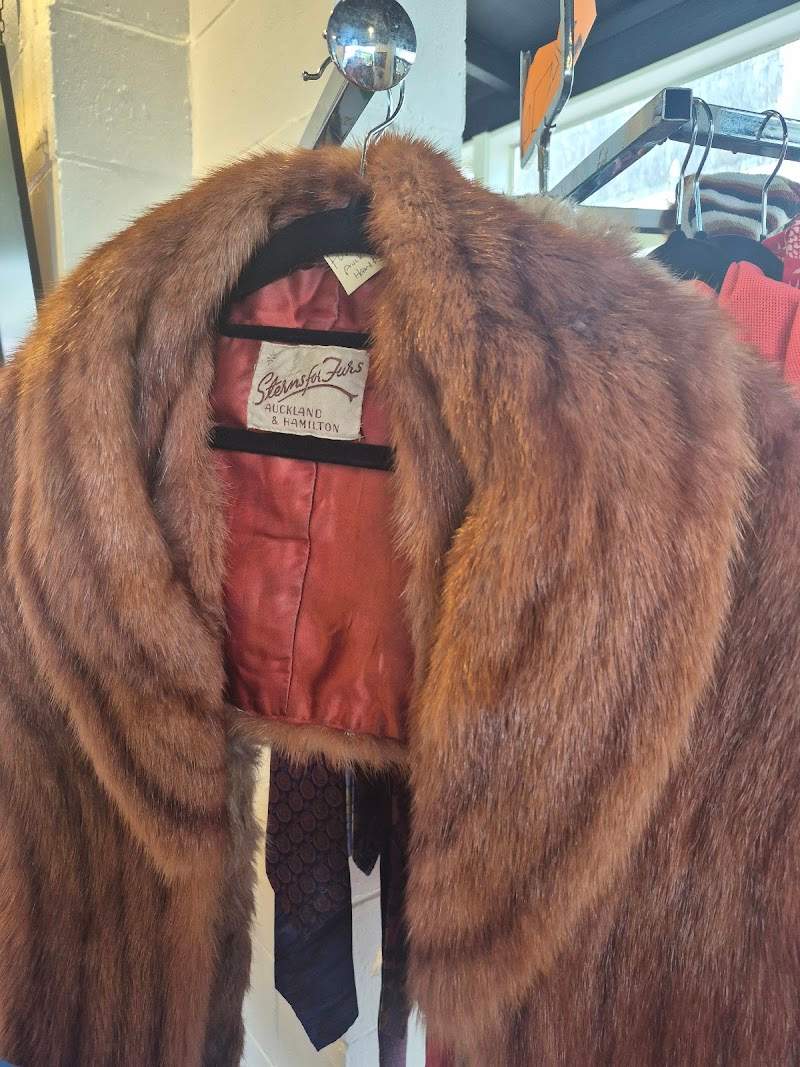 Check out Vintage Vibes in Paraparaumu Beach