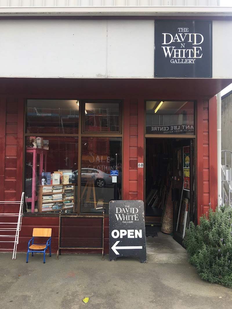 Check out David N White Gallery in Te Aro