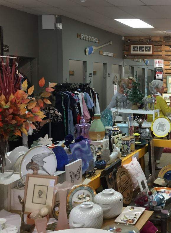 Check out Dove Hospice St Heliers Shop in St Heliers