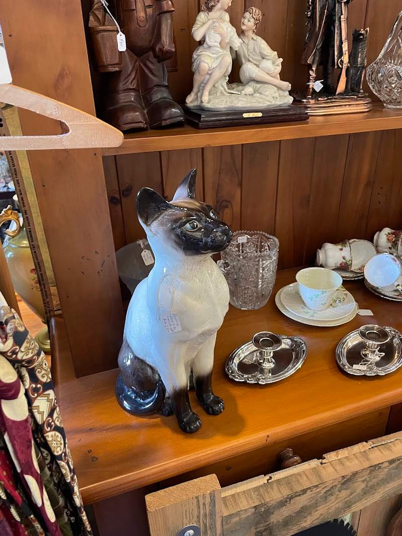 Check out Just Browsing in Yelverton