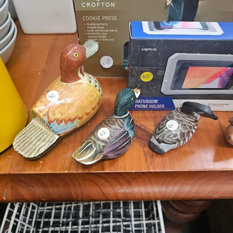 Check out Bargain Bazaar Charity Shop in Maroubra