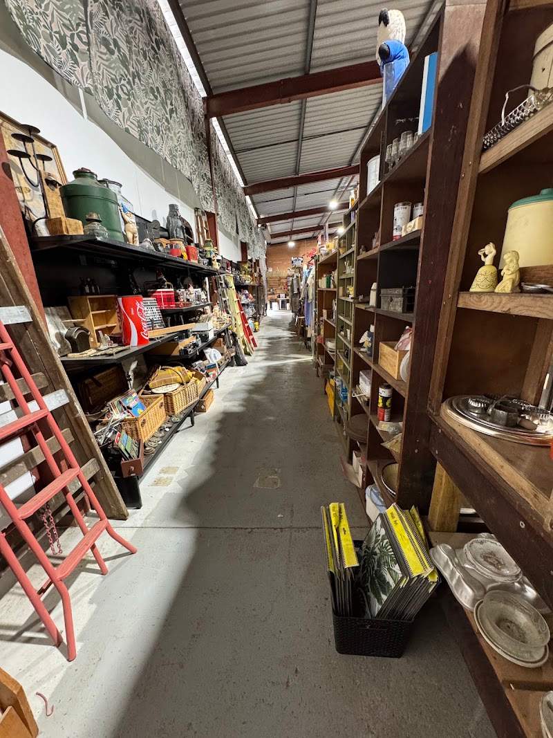 Check out Annie's Collective Wonderland in Bellevue