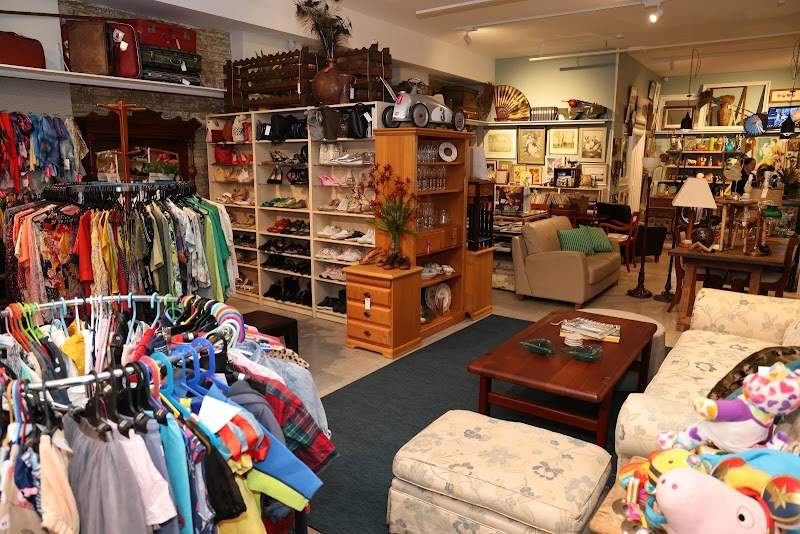 Check out Lifeline Shop Naremburn in Naremburn