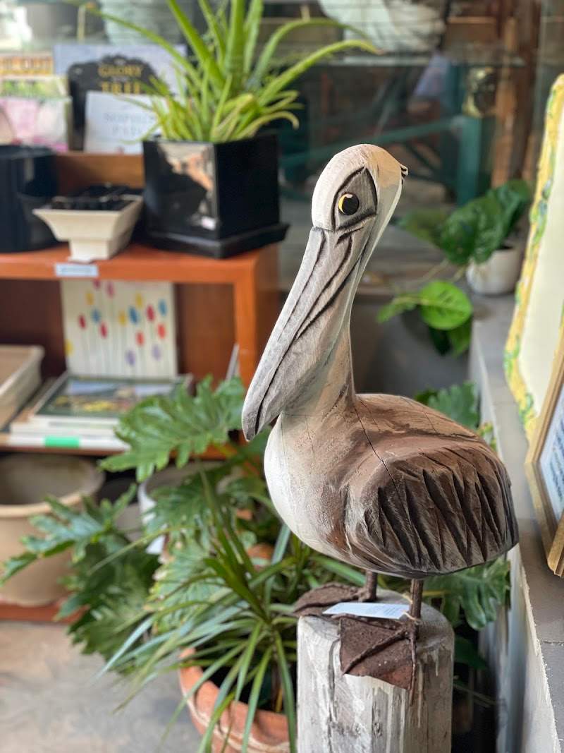 Check out Lifeline Shop Naremburn in Naremburn