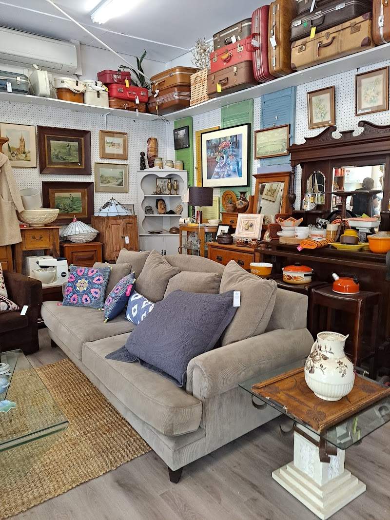 Check out Lifeline Shop Naremburn in Naremburn