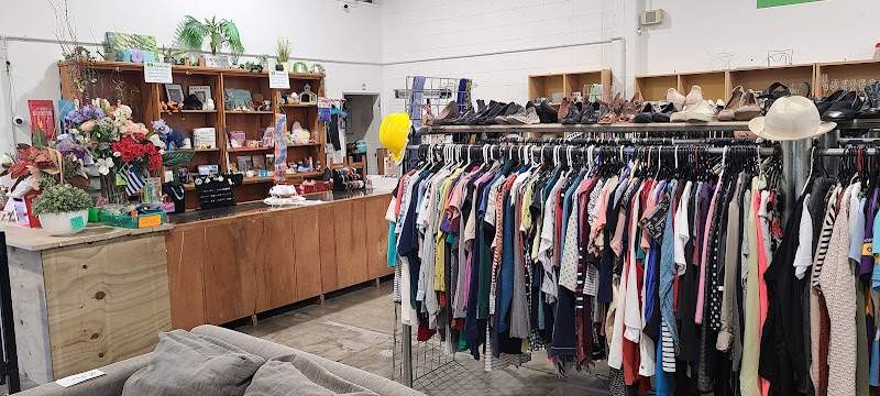 Check out Free For All in Petone