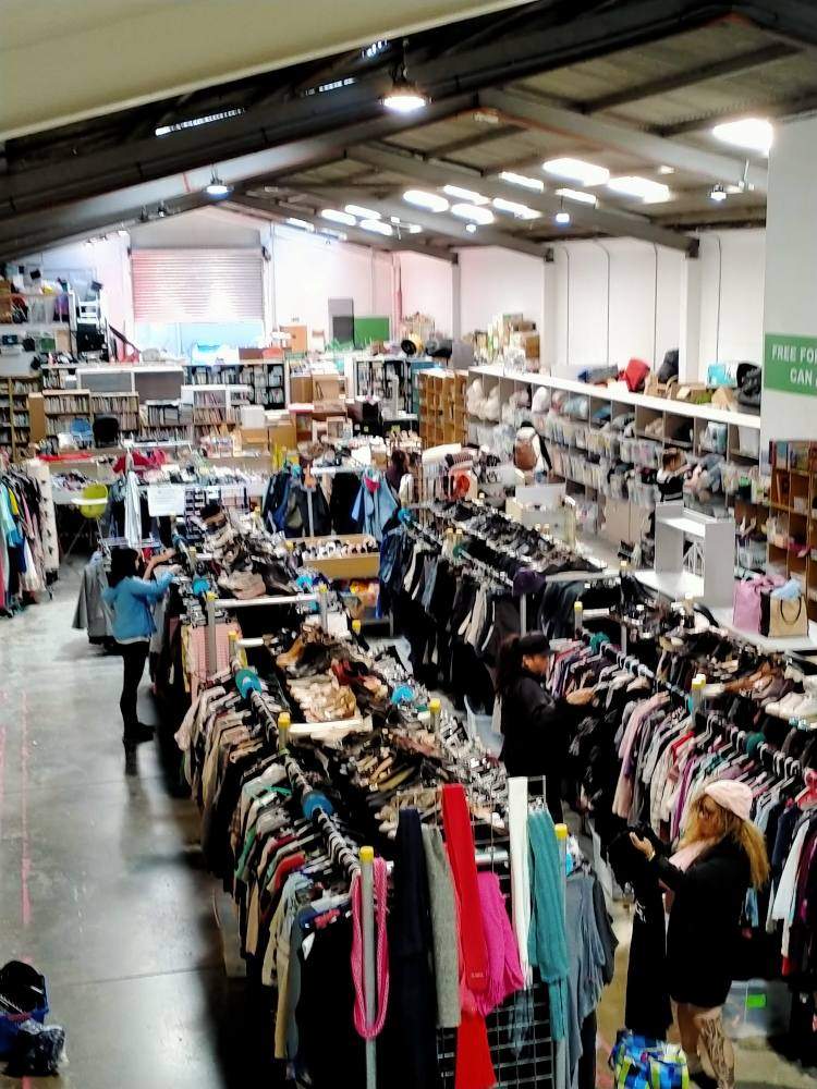 Check out Free For All in Petone