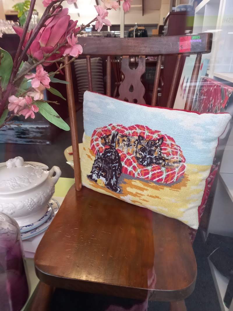 Check out Vinnies Kilbirnie in Kilbirnie