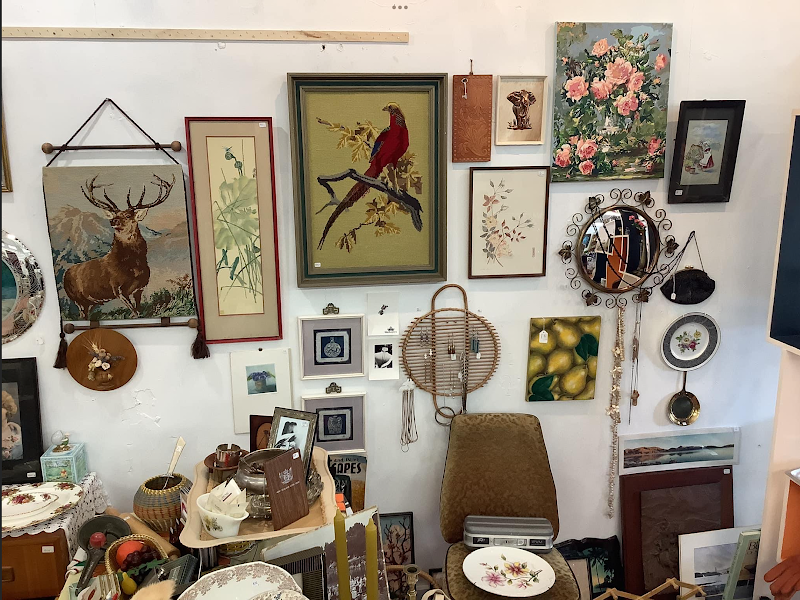 Check out The Collective Retro/Vintage Shop in Whanganui Central