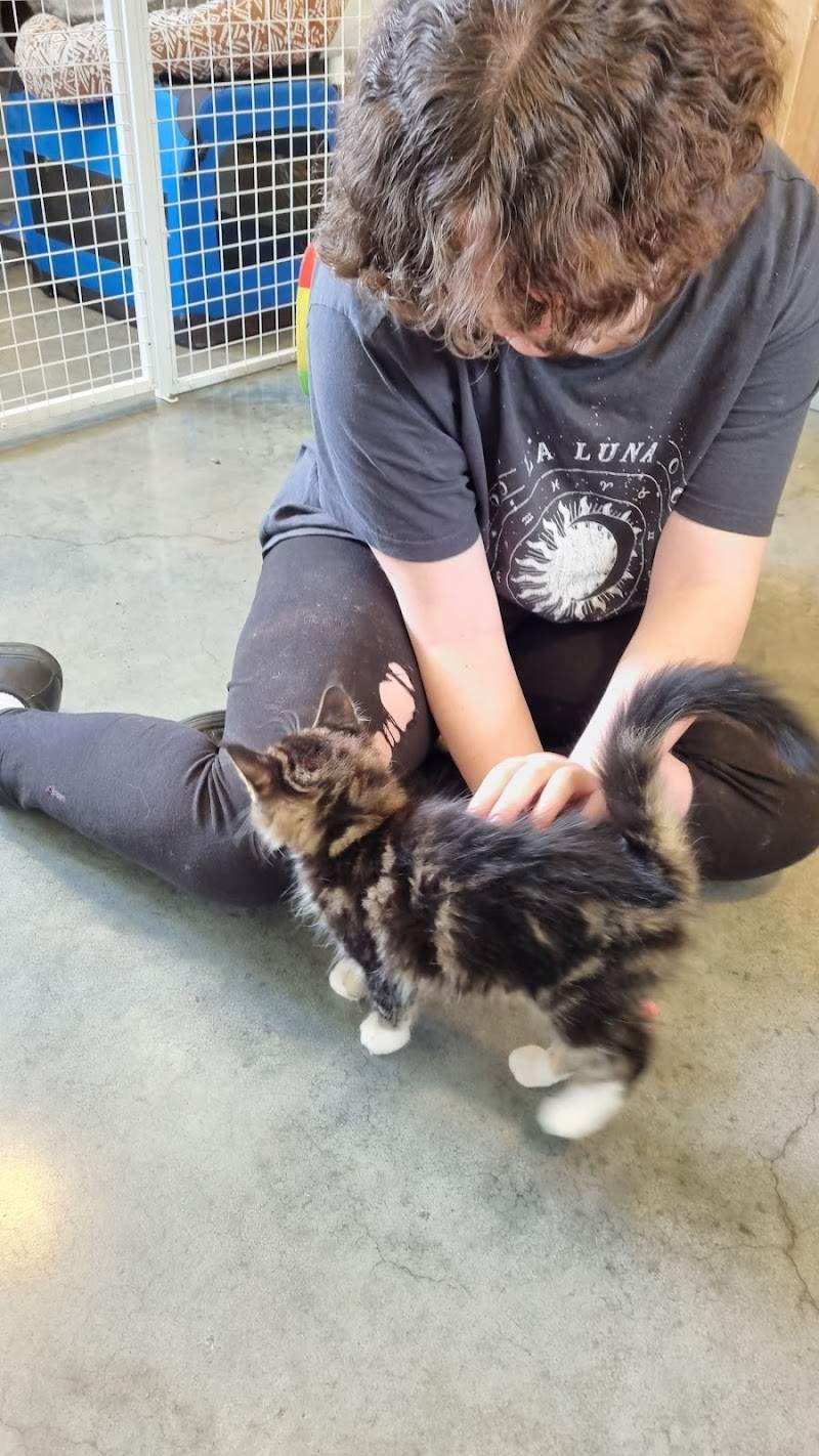 Check out RSPCA in Castlemaine