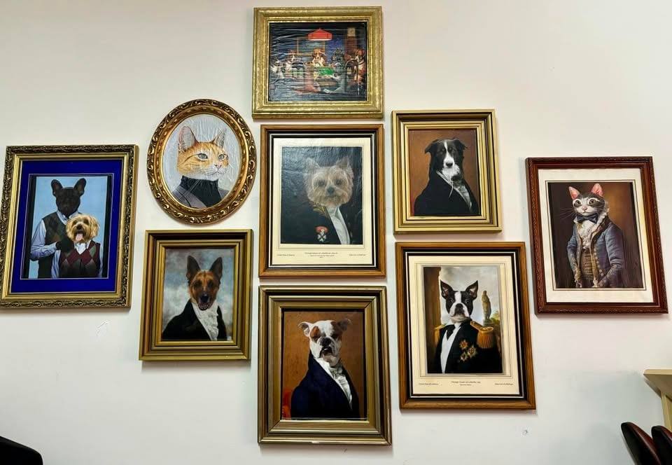 Photo from AAPS Op Shop Hampton